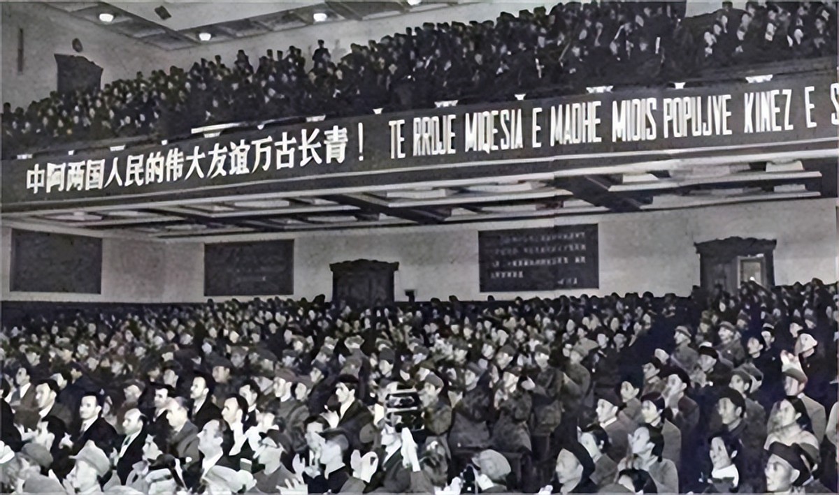 喂不饱的白眼狼完整版,喂不饱的白眼狼是什么