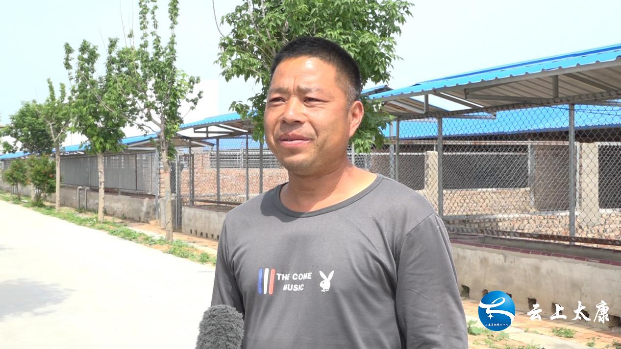 康马镇乡村振兴,太康乡村振兴