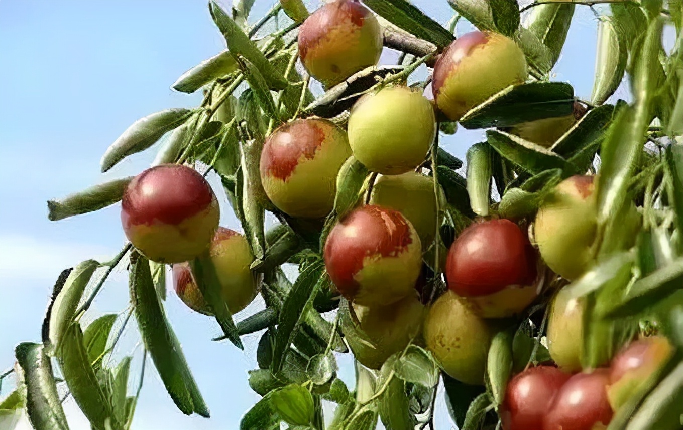 来黄骅必去的地方,来黄骅必玩