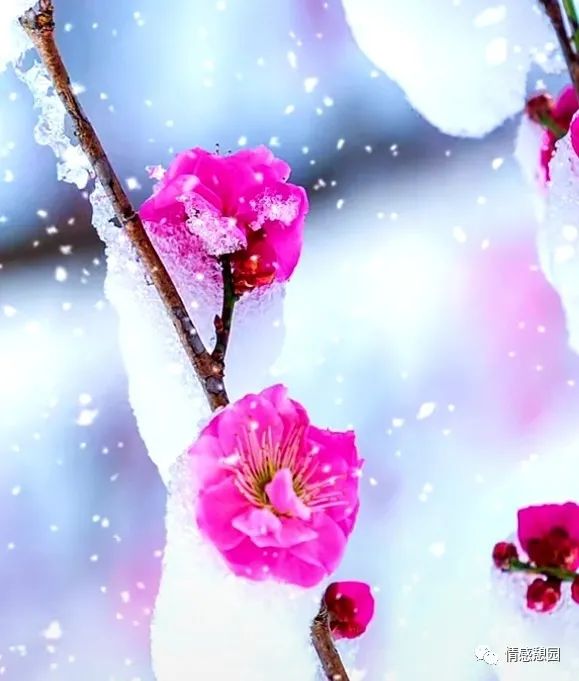 苏东坡传二十一章读书笔记,弟子规第二十一章读书笔记