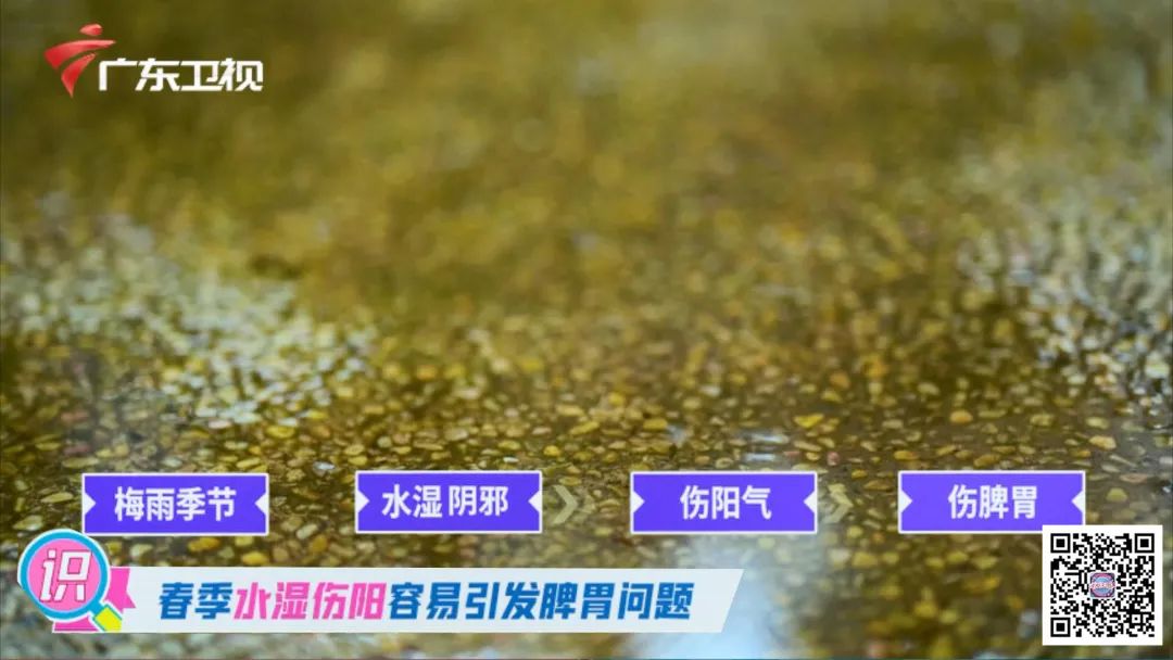 缓解脾胃湿气的香囊,心肝火旺脾胃不和怎么调理