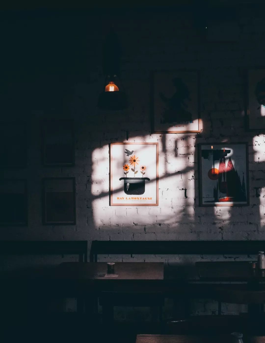 新手学摄影不知道从哪下手？你需要刻意练习这5个能力