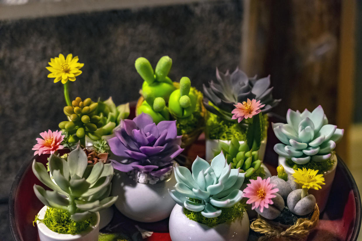 入殓师冷门职业,入殓师冷门角色