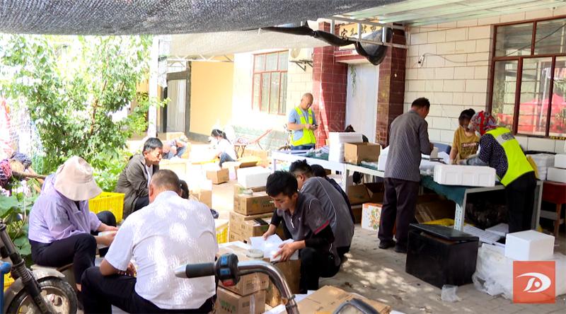 敦煌特产敦煌李广杏成熟上市,敦煌李广杏和其它李广杏的区别