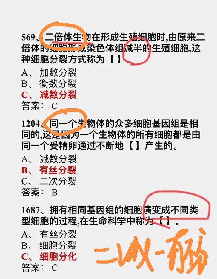 学习强国四人赛全胜,学习强国四人赛知识点