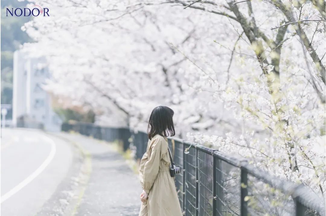 处女座代言的诗人,处女座代言词