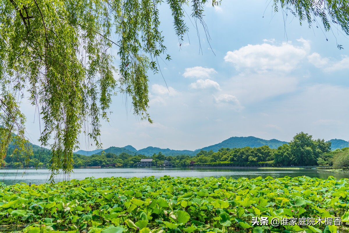 题临安邸林升是写给谁的,林升写的诗悲伤