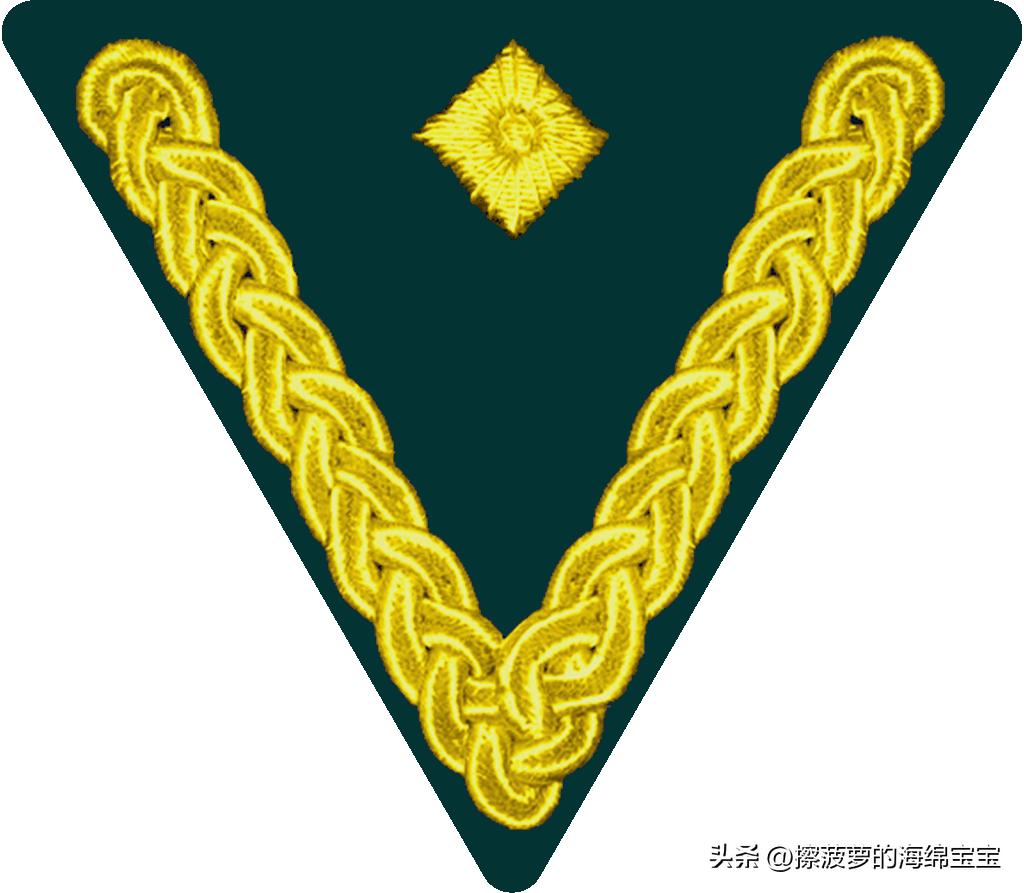 二战德国国防军医疗兵军衔标志