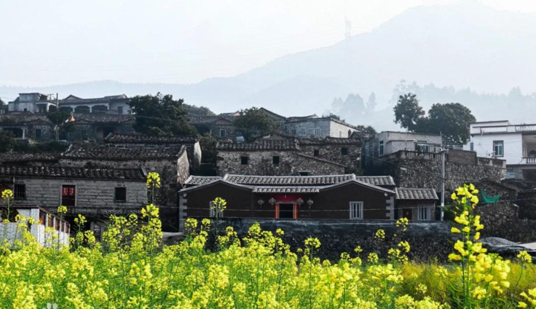 打包票，这座城市你去了一次就会爱上...