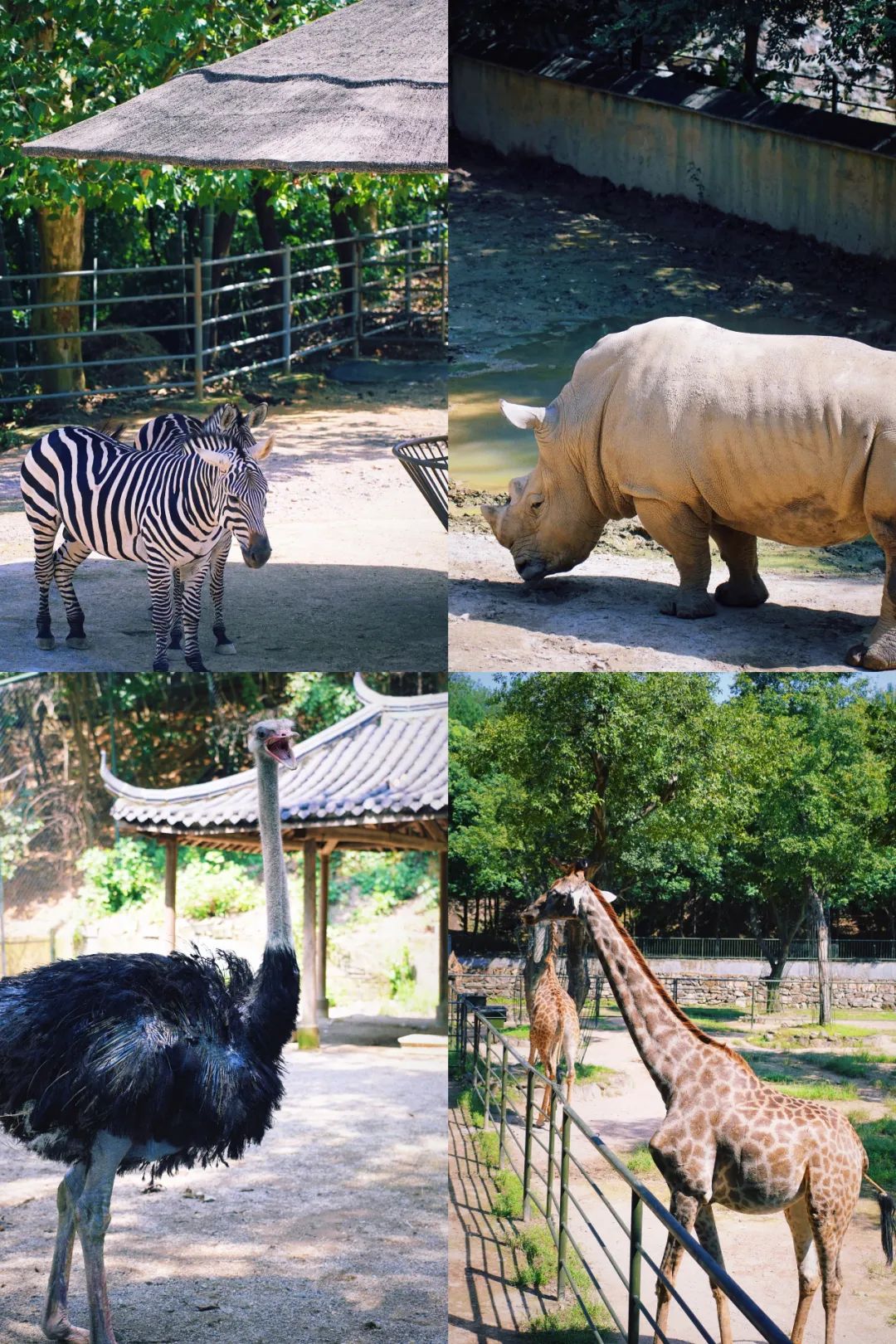 安吉亲子旅游必去的景点,安吉最新亲子旅游度假