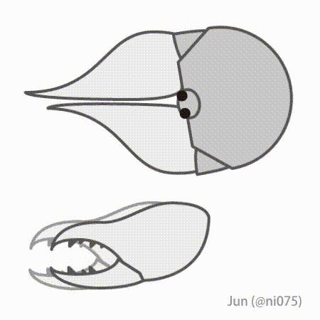 追着美国大兵跑的“抱脸虫”是真的吗？它比想象还可怕