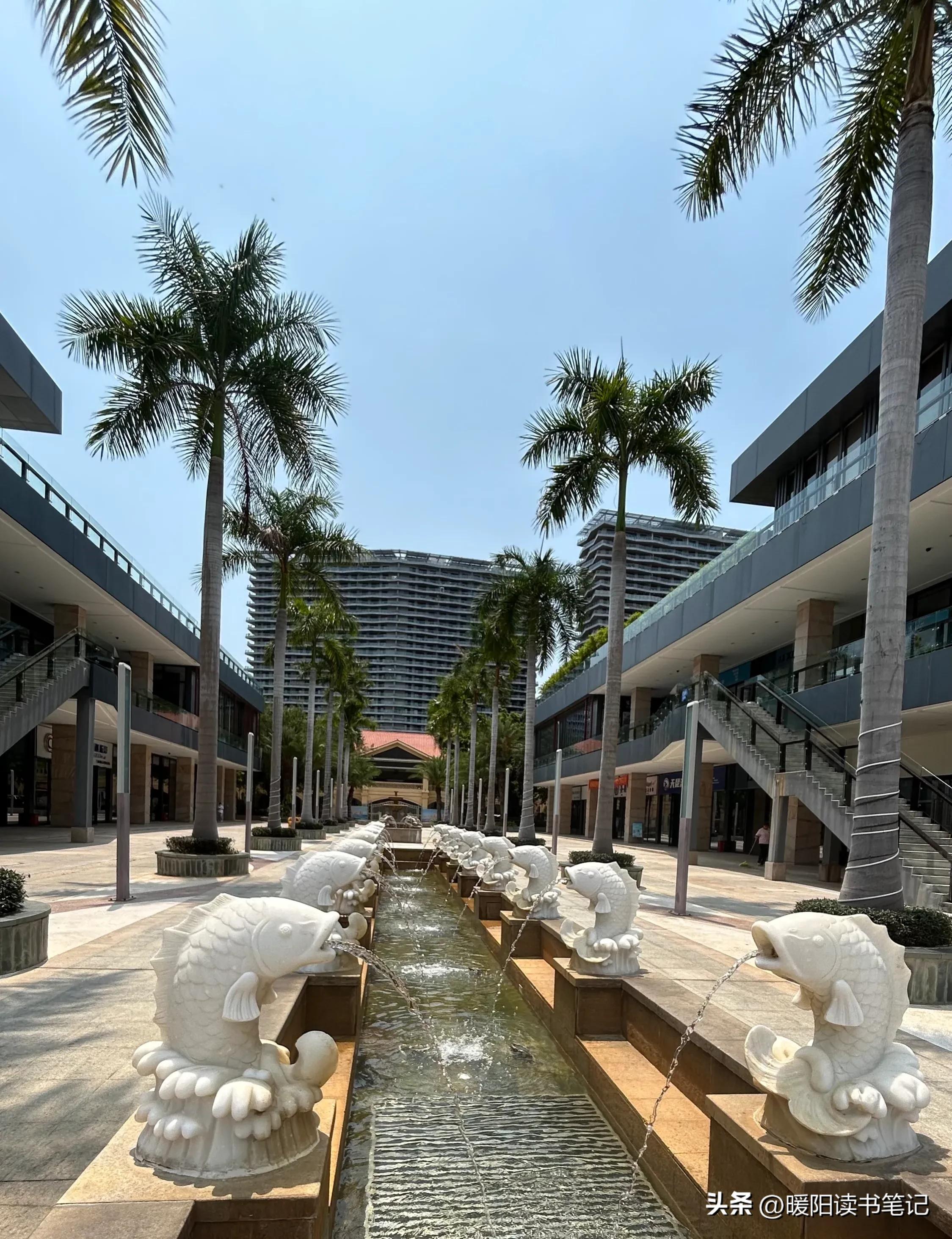 半山半岛帆船港拍摄,半山半岛帆船港怎么拍视频