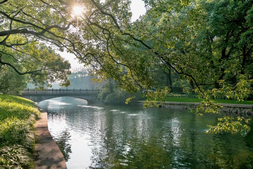魔都，隐蔽60年的花园酒店，一窗一檐都是故事
