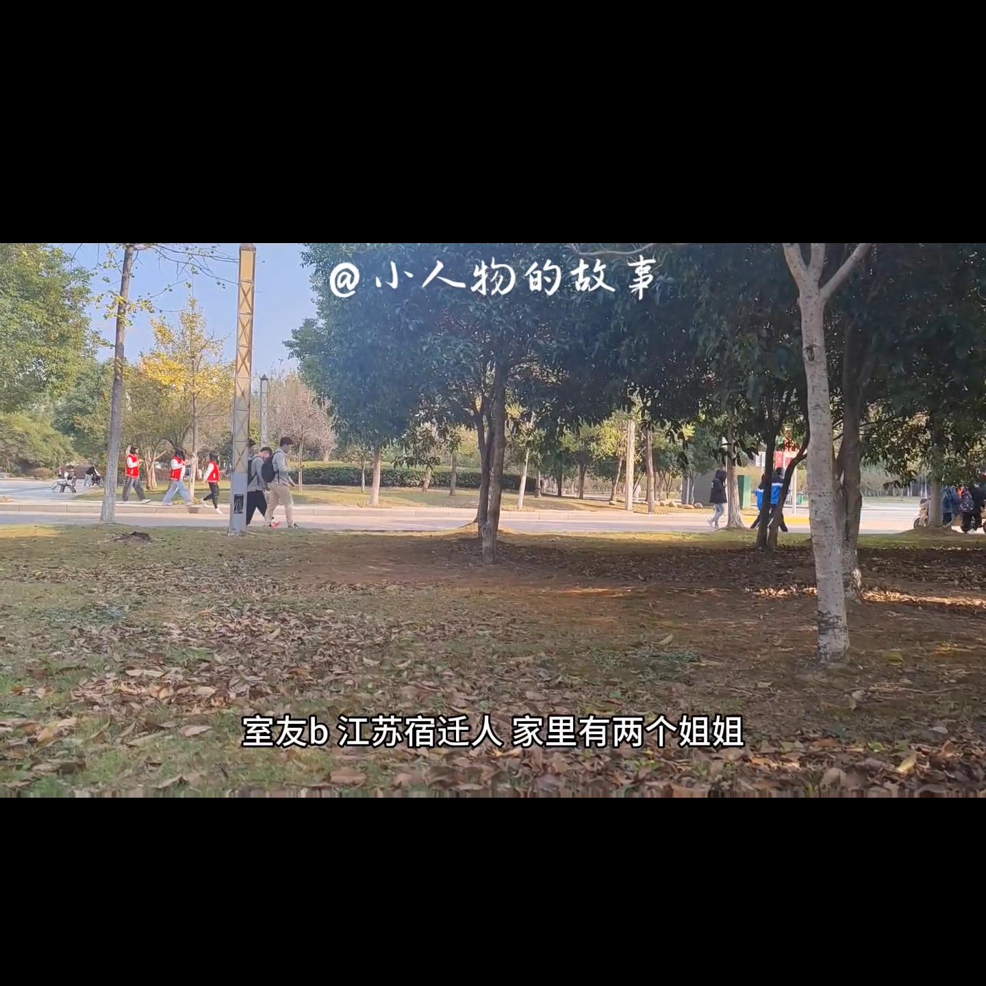 高考志愿填报信息安全专业,二本信息管理与信息系统专业就业