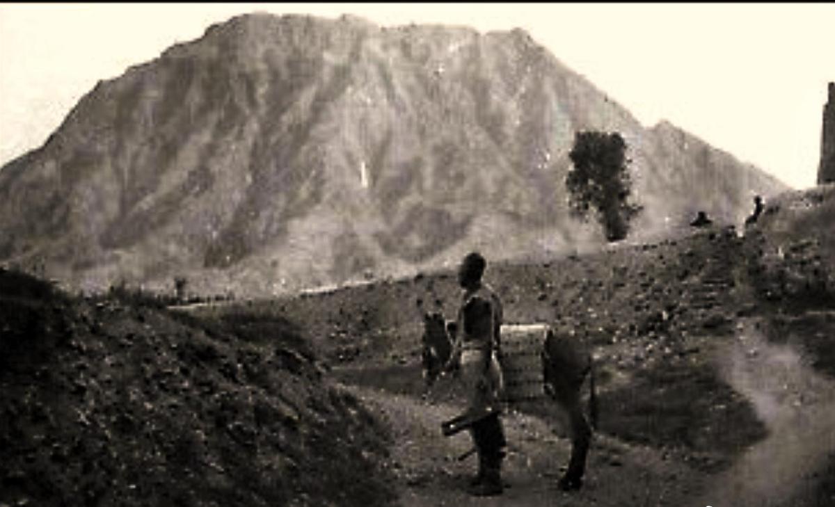 日军日记：*安妇慰**不服从管教，我很愤怒，用*刀刺**插入她的*体下**