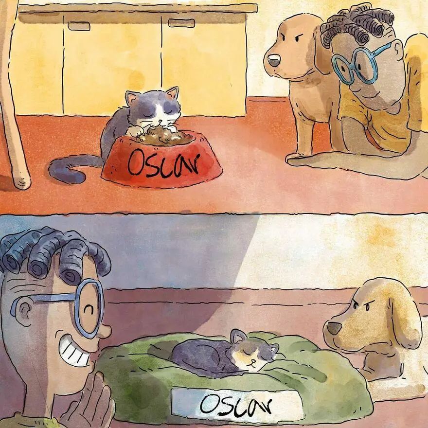 一部关于宠物的漫画,一套暖心的宠物漫画