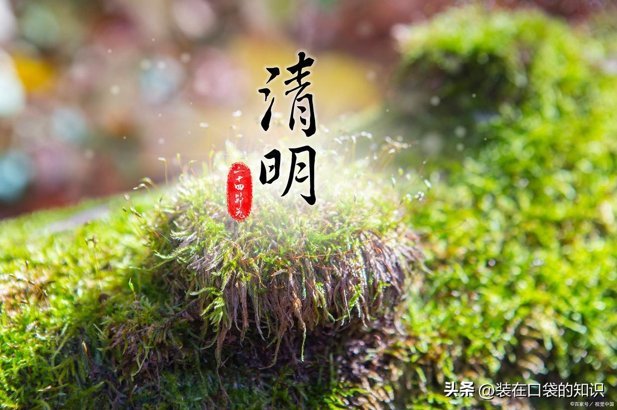 清明节祭祖七大禁忌你必须知道,清明节祭祖一定要清明当天吗