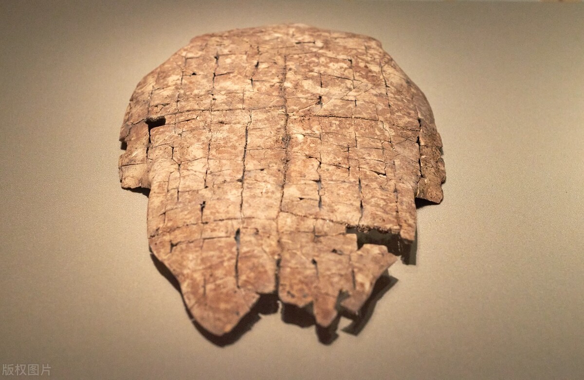 每日冷知识全集,每日冷知识100条