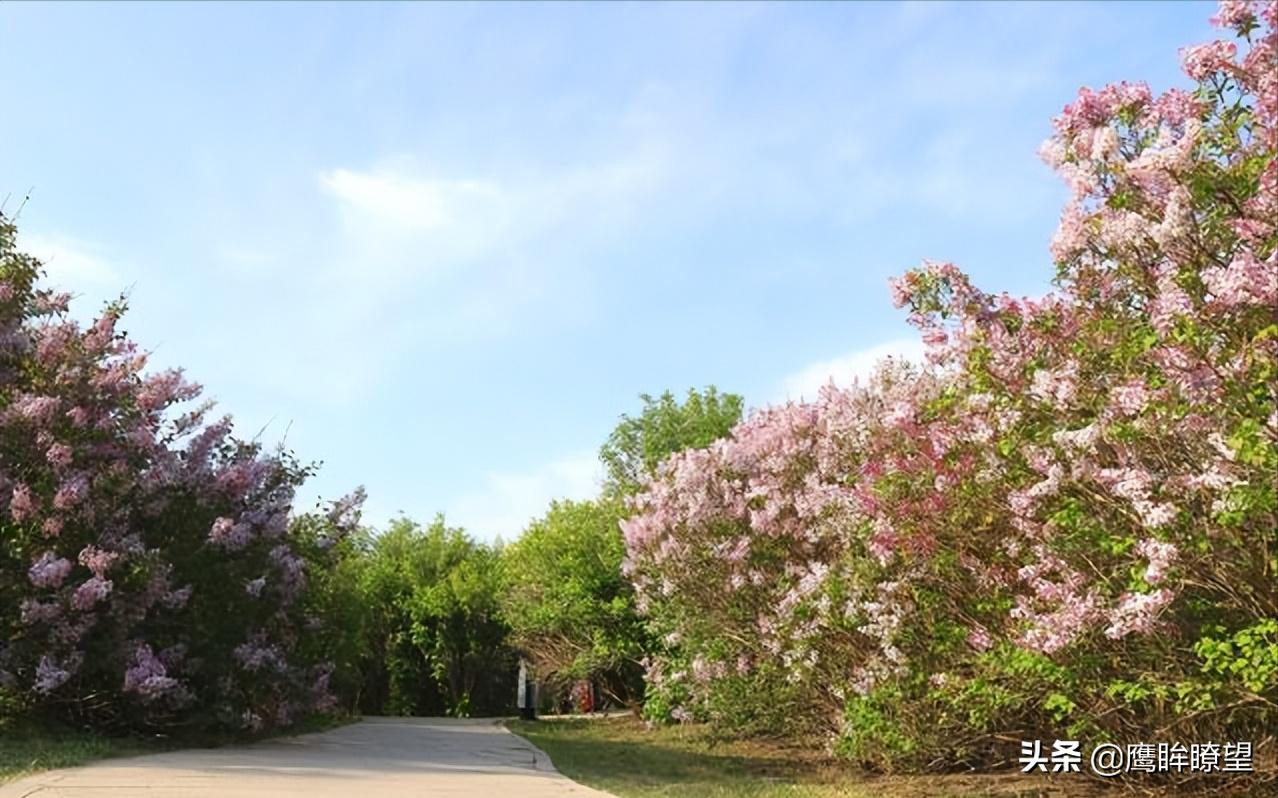东北有座小城,东北有座城市