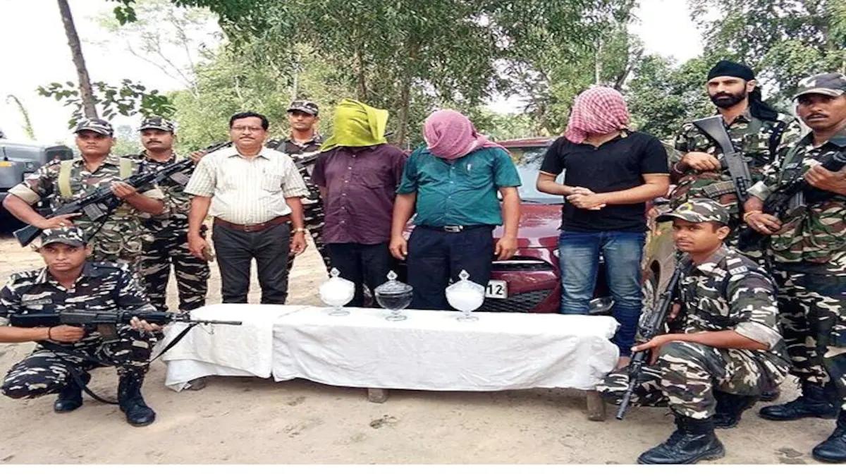 为什么杀完毒蛇后一定要把蛇头埋掉？厨师没有遵守，酿成悲剧