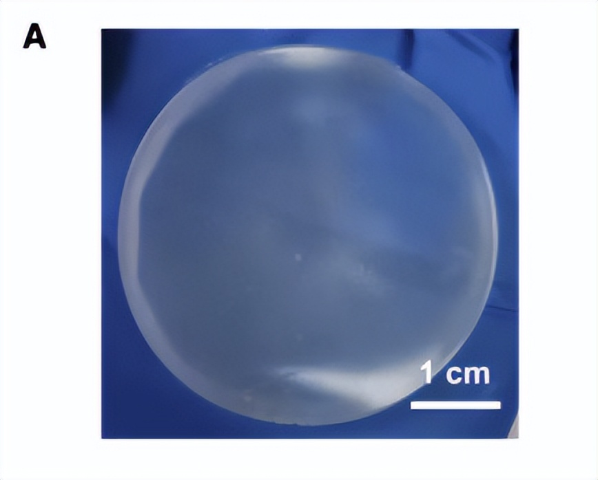 淀粉凝胶电解质用于高性能柔性锌空气电池的可行性研究