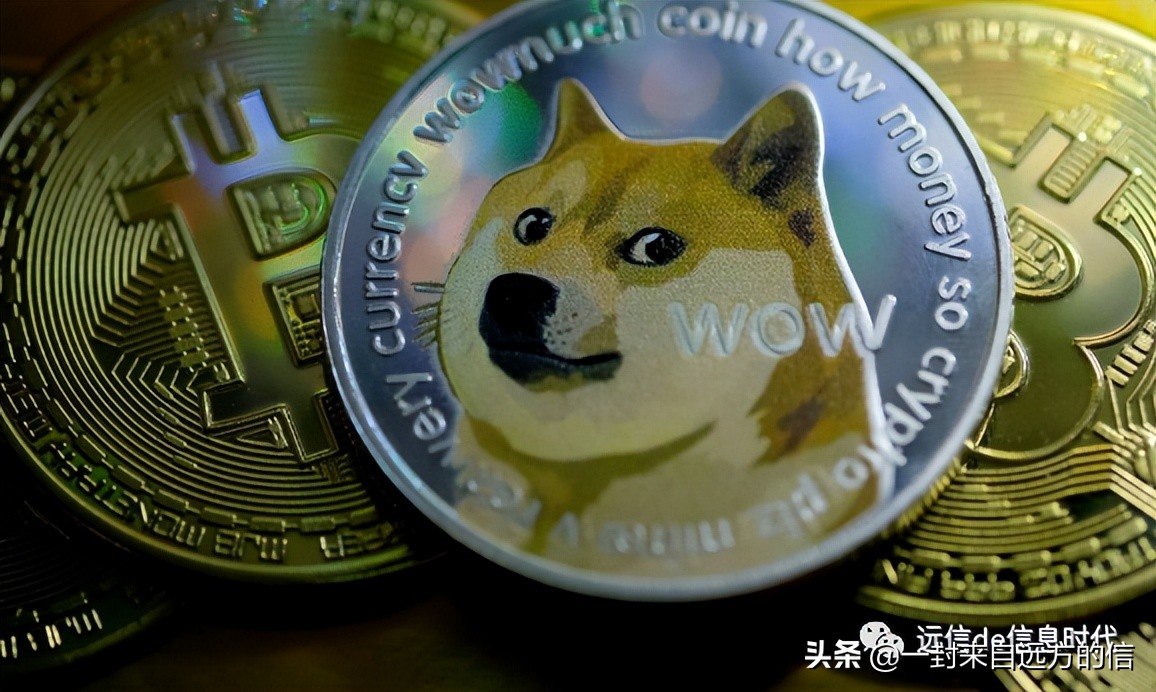 狗狗币最新利好信息,狗狗币官方最新信息