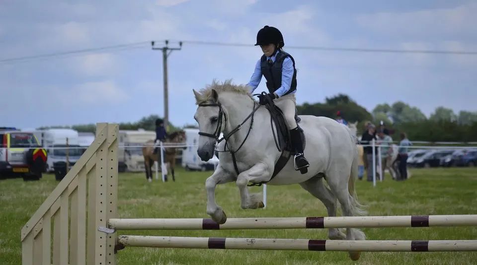 儿童运动敏感期,把握儿童的敏感期感悟