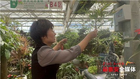 乐业*安泰**丨智能大棚里种出创业致富花！德州籍大学生扎根*安泰**白手起家