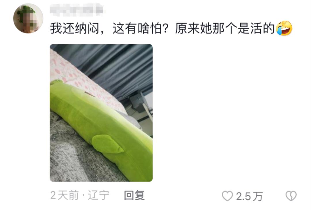 学校突然出现诡异的虫子,女生宿舍惊现不明虫