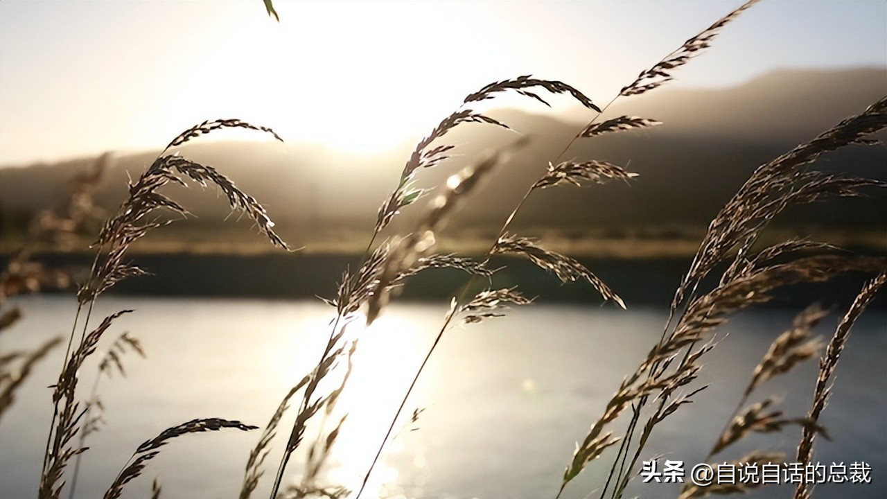 达芬奇一生最大的成就有哪些,达芬奇真实的故事