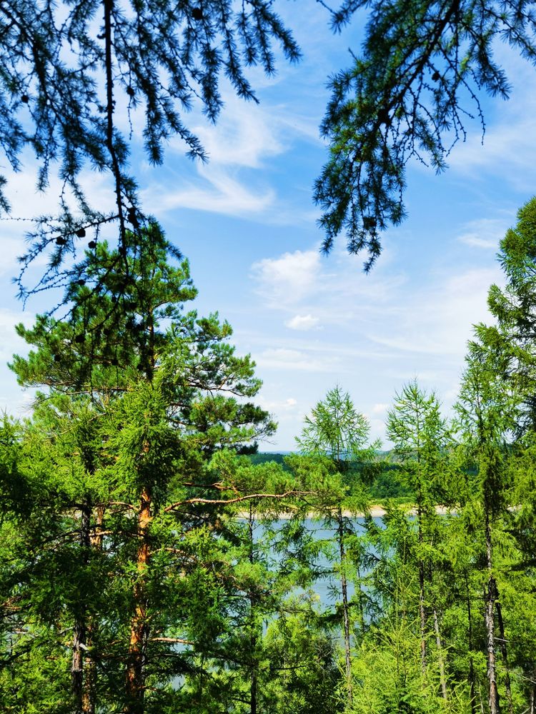 龙江县龙江第一湾,龙江第一湾山顶全貌