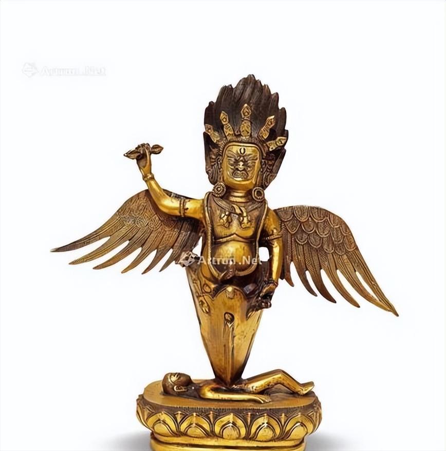 金翅鸟图像分析,金翅鸟视频大全