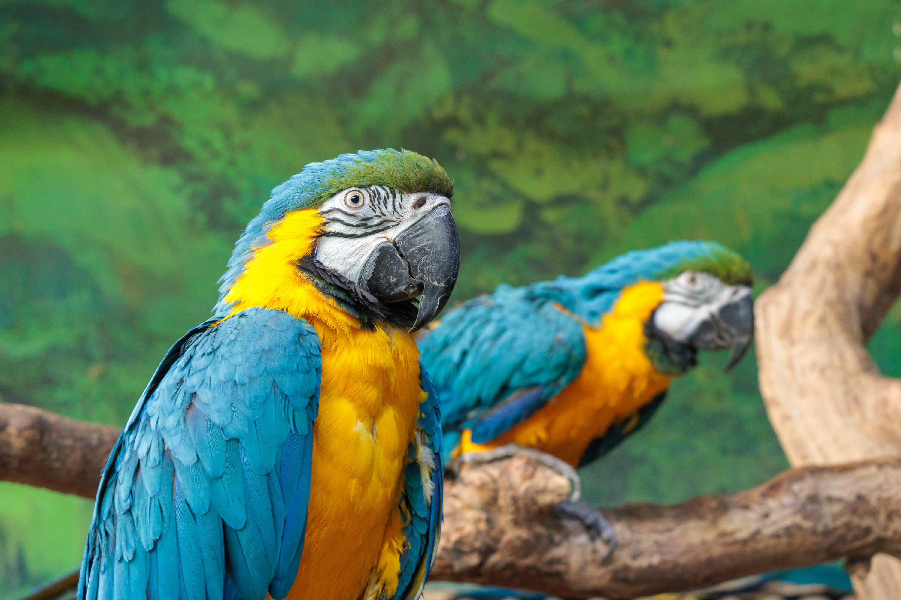 佳能rf-s55-210mm,和儿子感受大自然的气息和美景