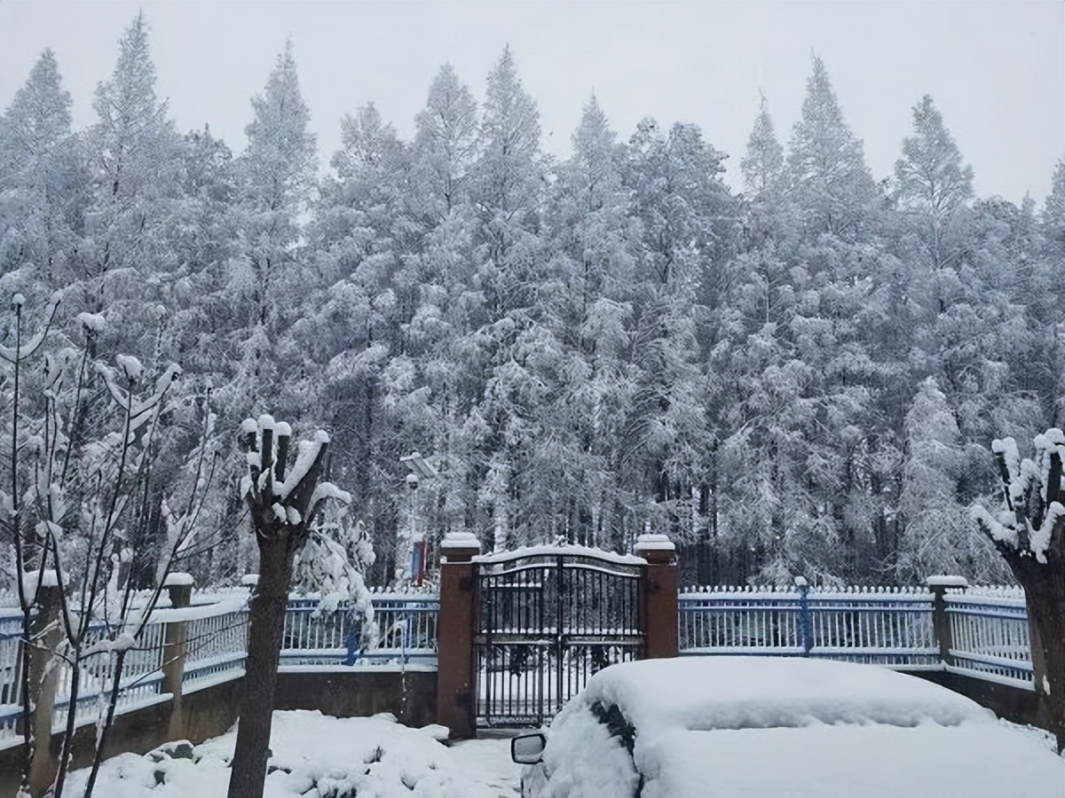 五一回老家，土地被流转了，是谁在割农民的韭菜？