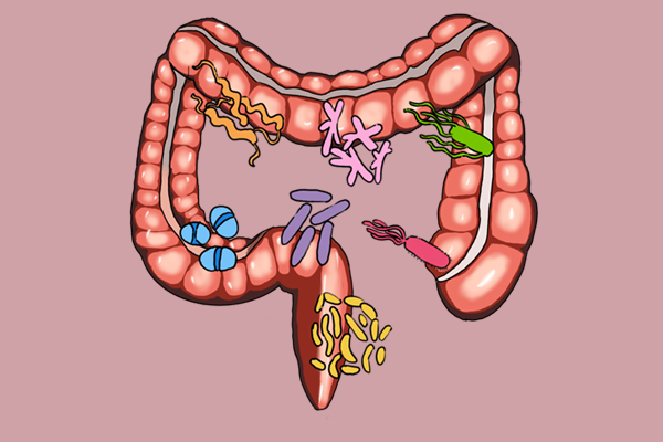 孩子便秘喝益生菌有用吗,儿童拉肚子便秘可以喝益生菌吗