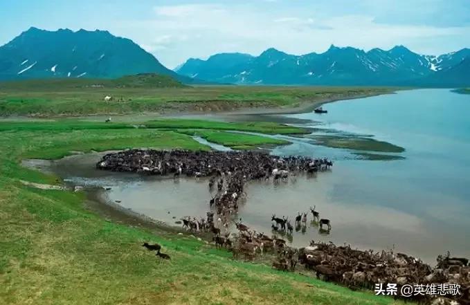 南极为什么比北极冷的原因,为什么地球南极北极一样寒冷