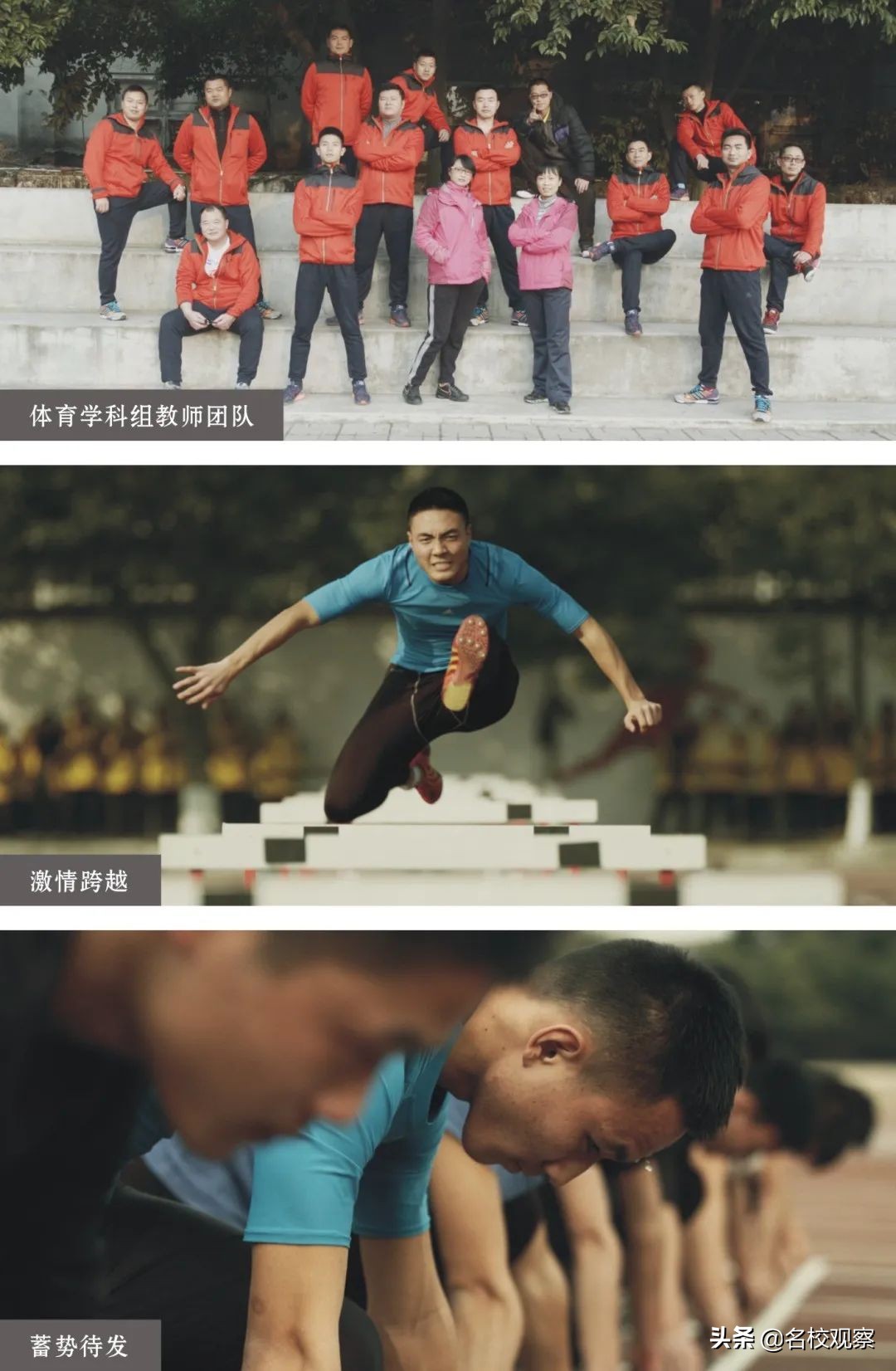 双流艺体特长生招生条件,双流艺体中学2024年艺体特长生