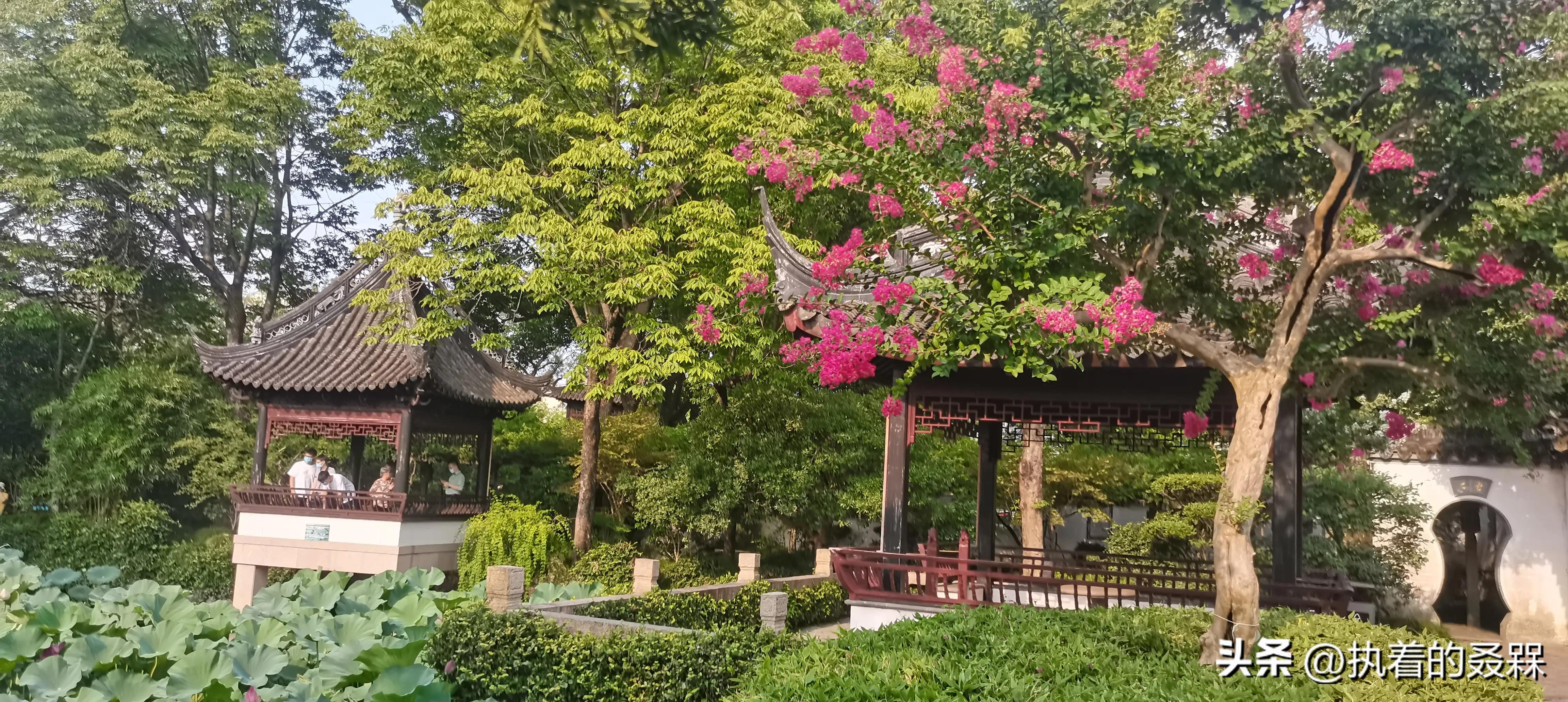 上海市五大古典园林之一曲水园,上海五大古典园林