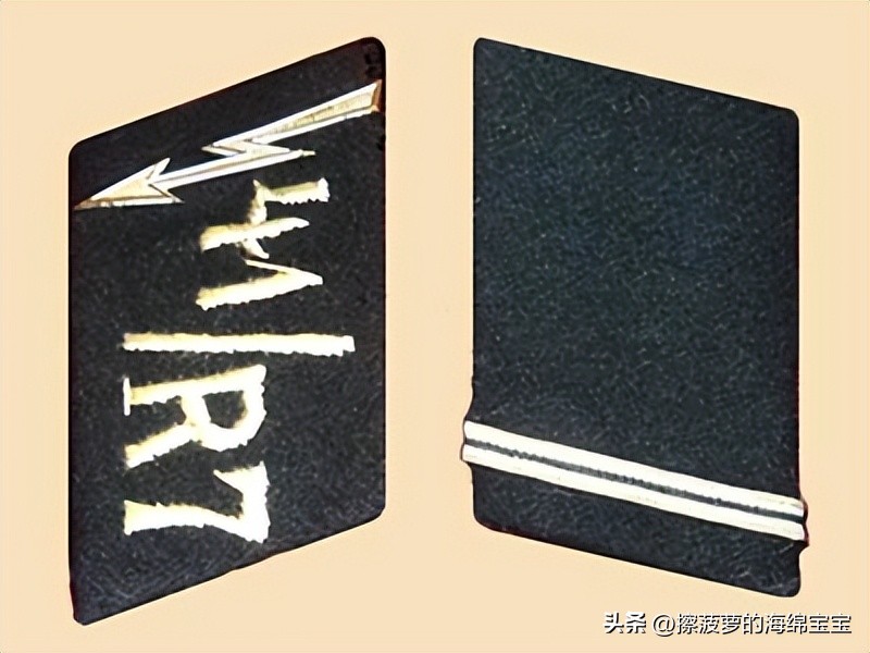 纳粹冲锋队用的什么枪,纳粹德军军衔图解