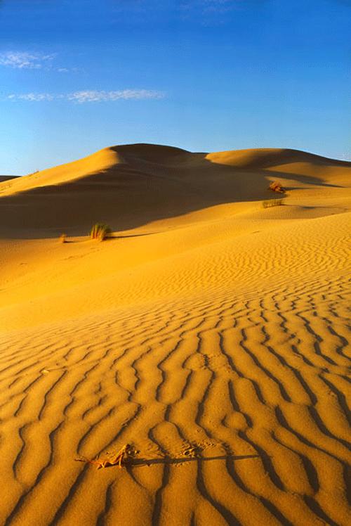 如果地球100年不下雨会发生什么,地球一年不下雨会怎么样