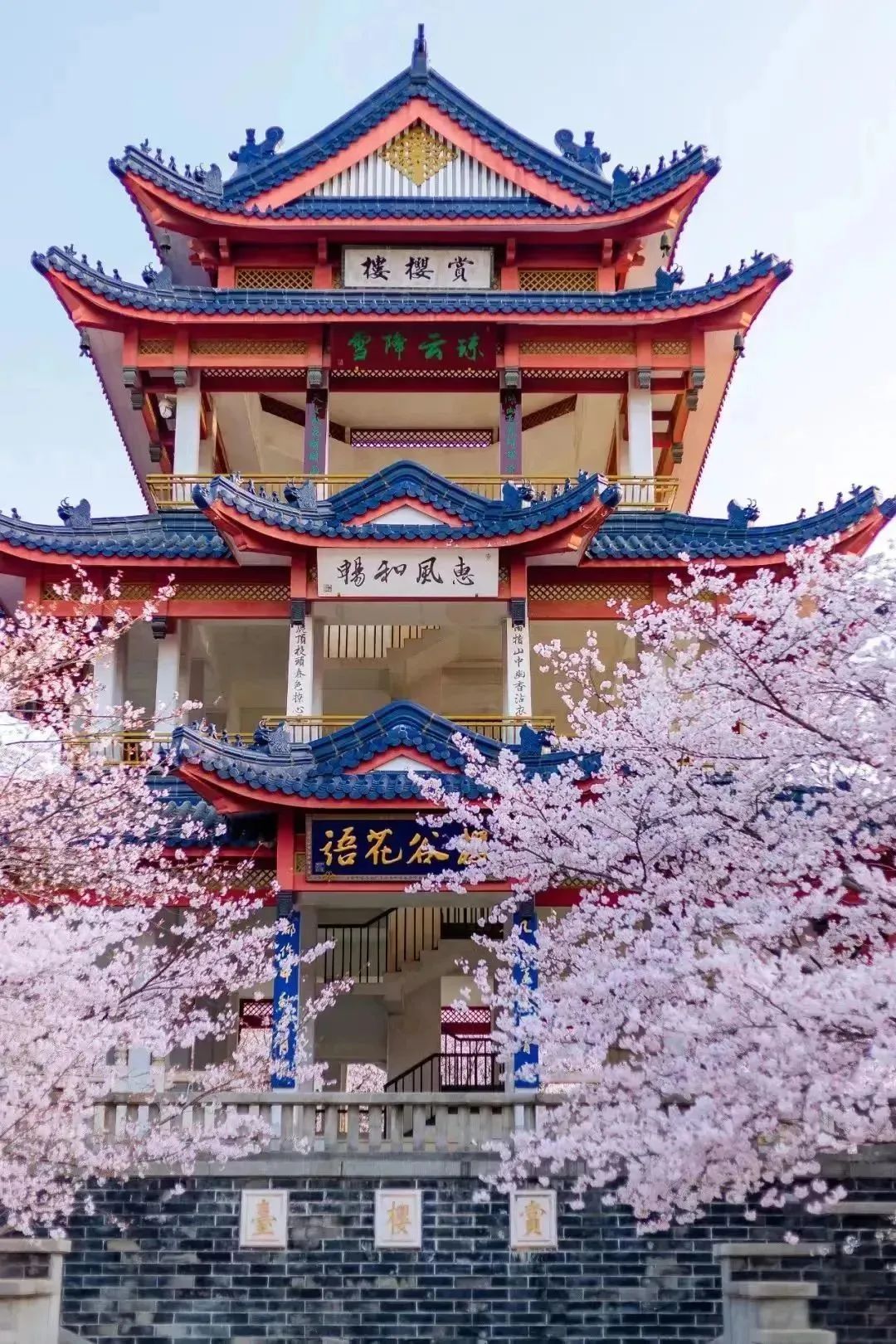 日本100个最佳樱花景点,日本十大樱花景点