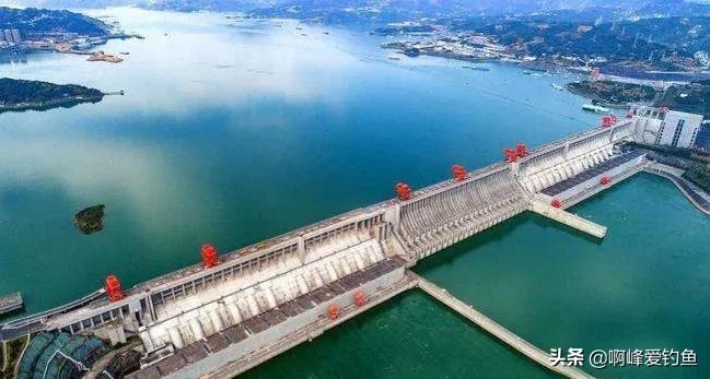 长江禁渔出现了什么新鱼,长江禁渔10年到现在鱼怎么样了