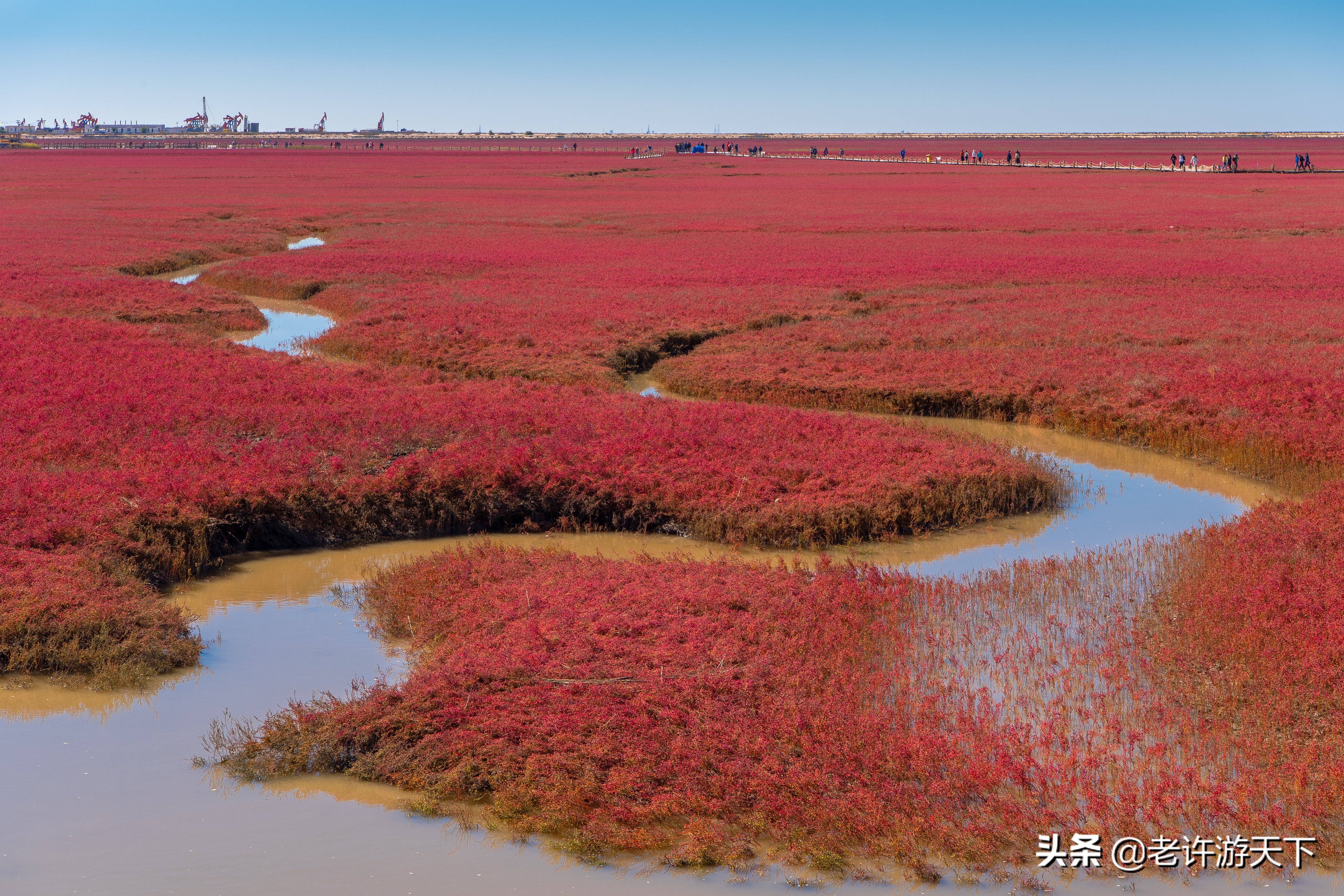 老许游记大全,老许游记第四天完整版