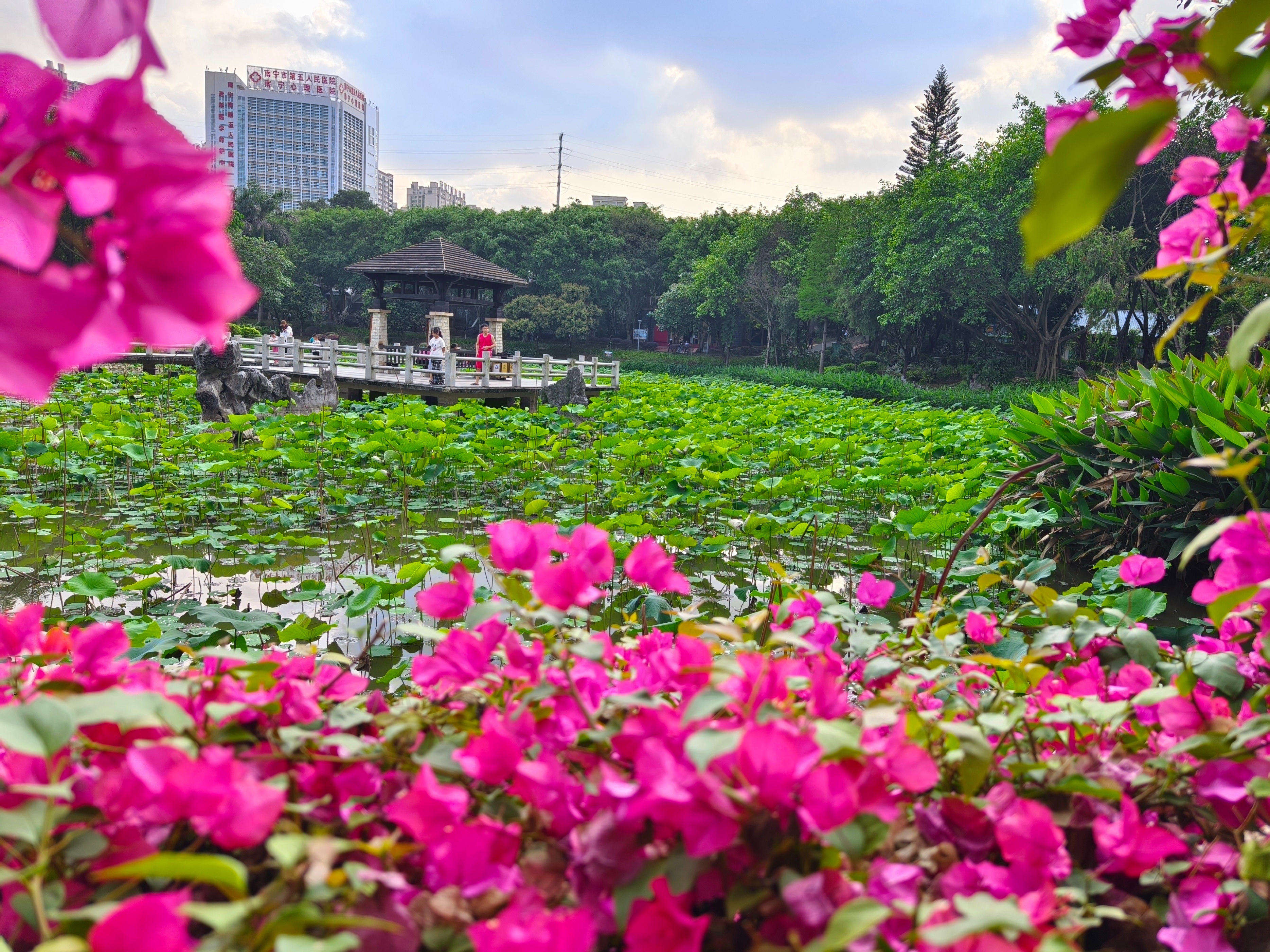 南宁周末溜娃好去处！南宁狮山公园