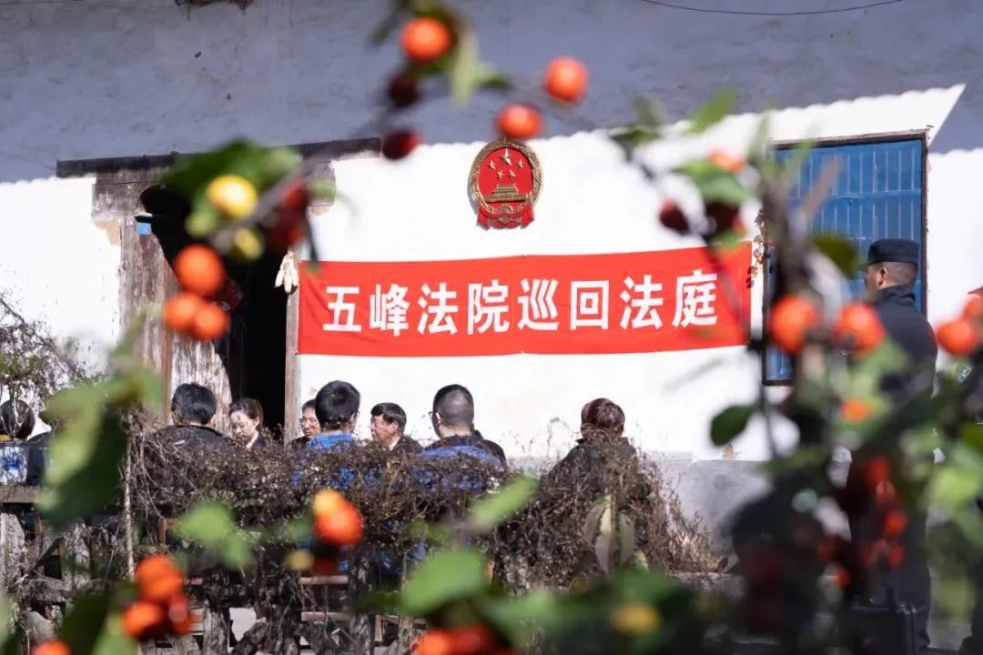 身穿“制服”、头顶彩灯，就职三个月，这个法庭新人“35号”有话要说……