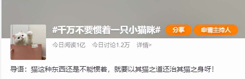 新手常见的害猫行为,看似爱猫实测害猫的五个行为