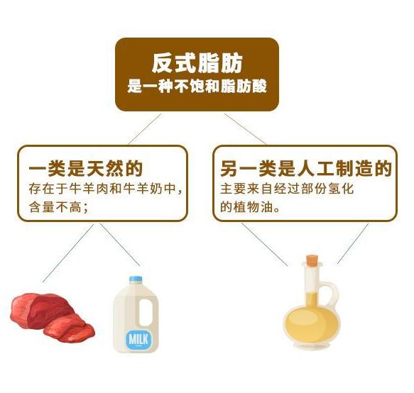 让人长胖的反式脂肪酸有哪些,食物中哪些是0式反式脂肪酸高的