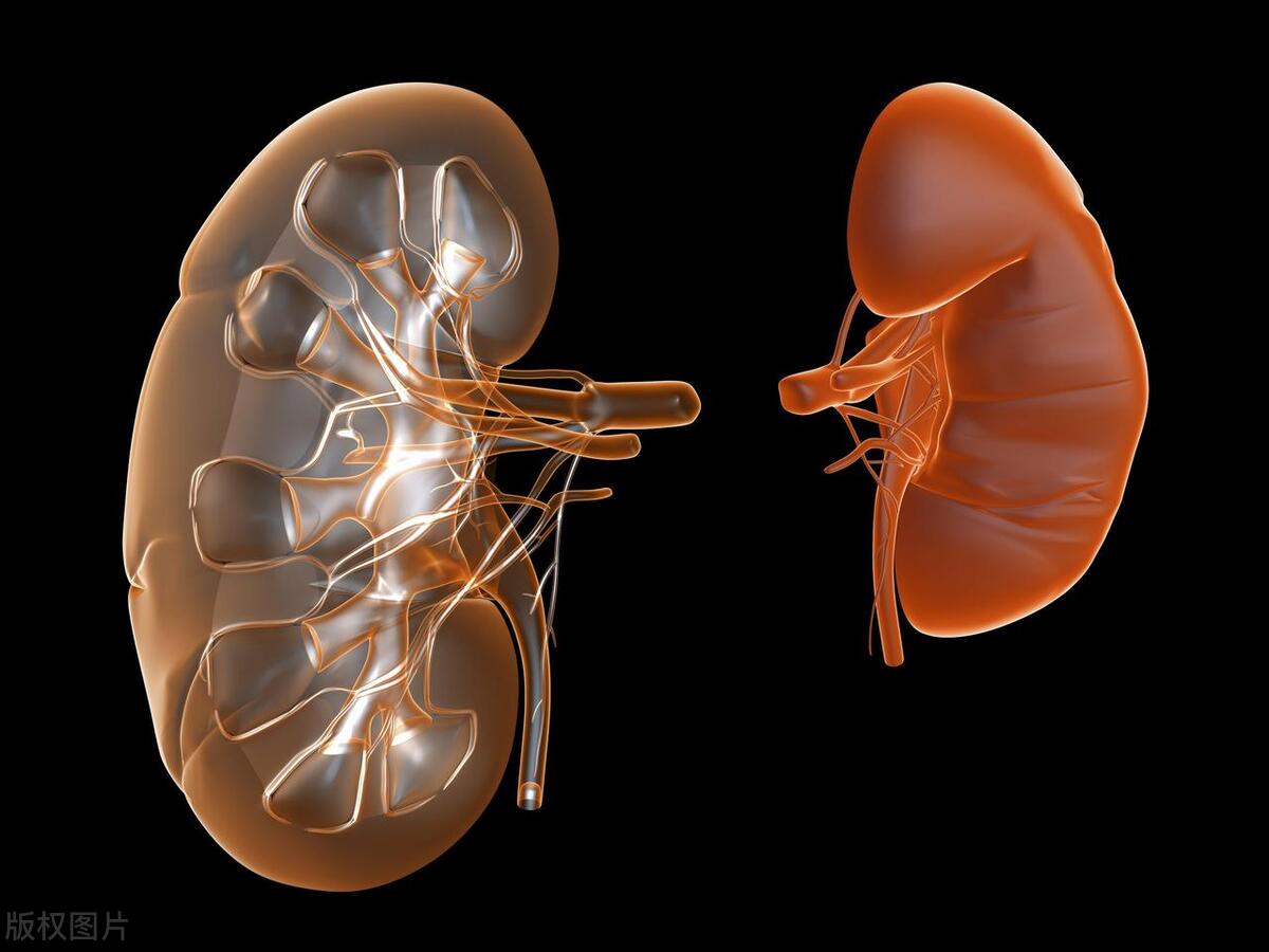 紫癜性肾炎会对肾脏有永久损失吗,紫癜性肾炎会对心脏有影响嘛