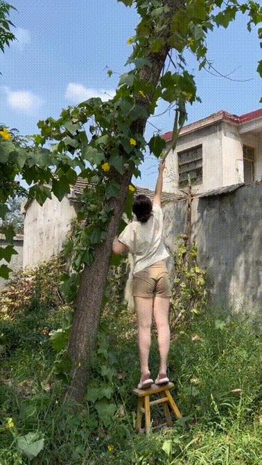 笑死了，女朋友说她昨晚游泳去了，这晒痕就是最好的证明