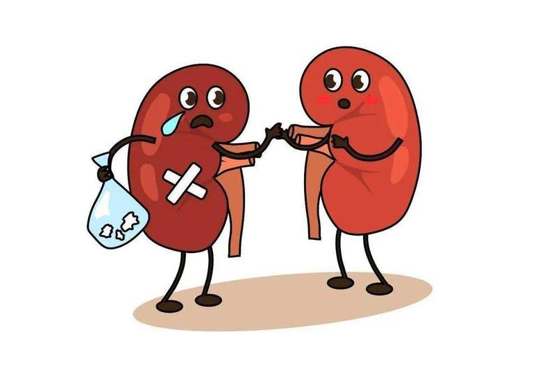 糖友蛋白尿是尿毒症前兆吗,糖友要警惕糖尿病两种并发症